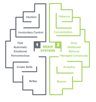 A graph showing the thinking fast and slow parts of the brain