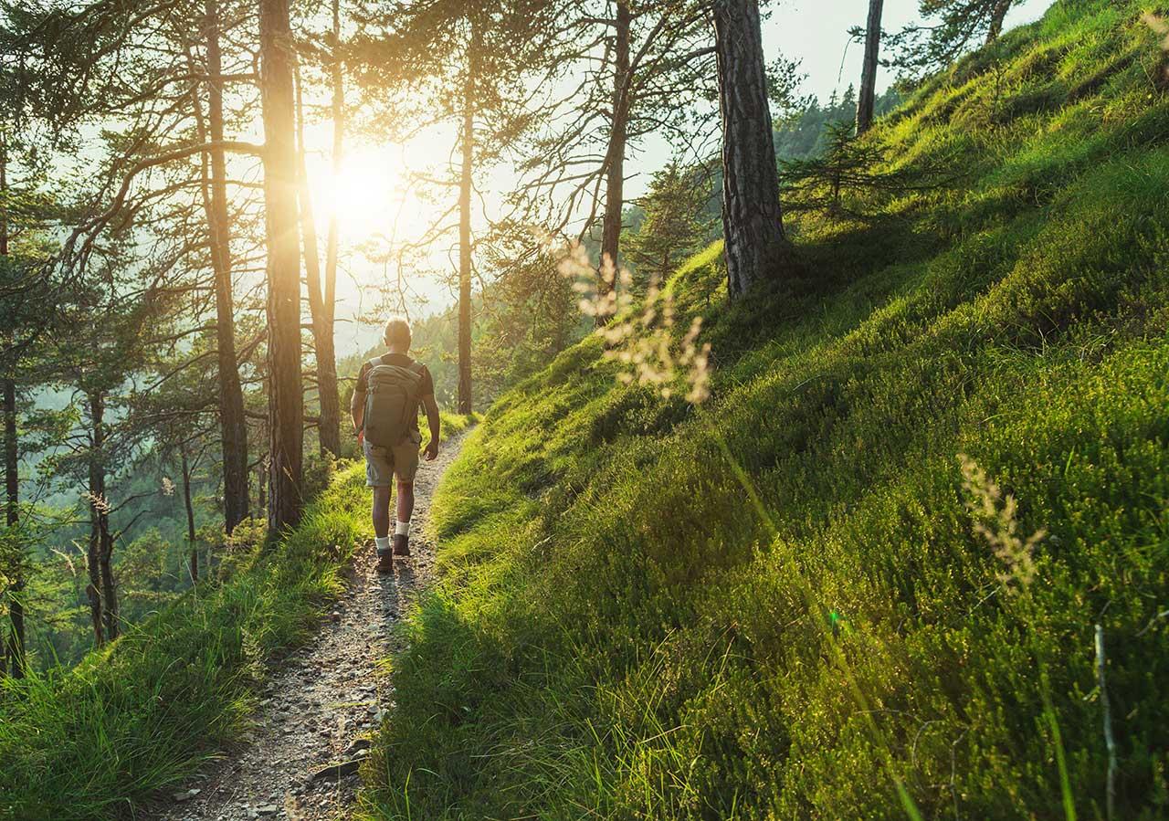 Senior man trail hiking in the forest at sunset